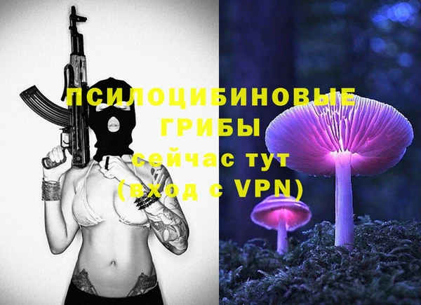 прущие крисы Алексеевка