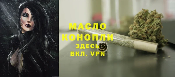 дмт Алексин