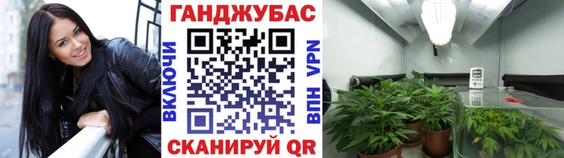 Бошки Шишки Amnesia  купить закладку  Пролетарск 